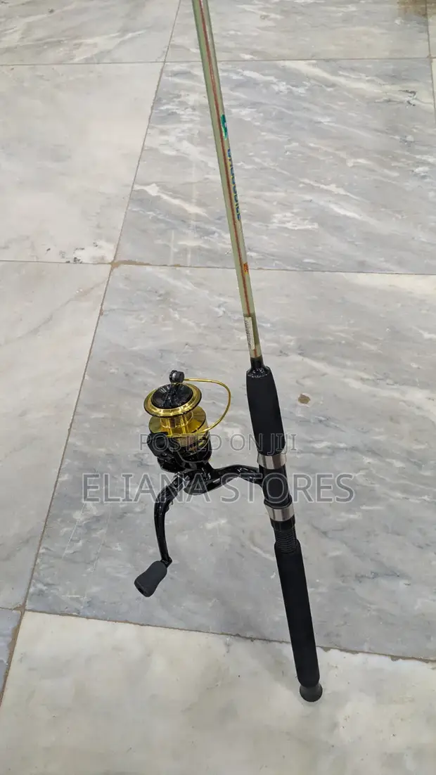 A.E.S Spinning Reel and Rod Combo - 1