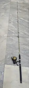A.E.S Spinning Reel and Rod Combo - 2