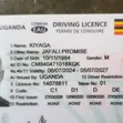 Driving Permit Services - Renewal, New, Extension - 3