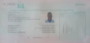 Travel & Tourism CV - Onyiti