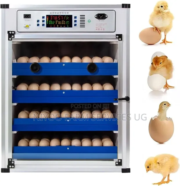 272 Egg Incubator - 1