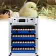272 Egg Incubator - 2