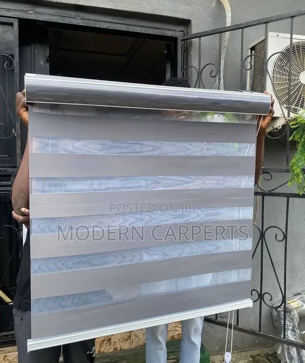 Xetic Zebra Blinds - 1