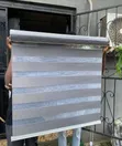 Xetic Zebra Blinds - 1