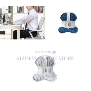 Heavy Duty Ergonomic Chair with Back and Lumbar Support