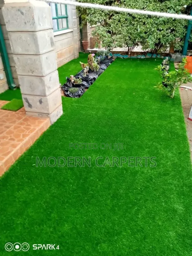 SFTN Artificial Turf - 1
