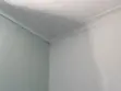 Gypsum and Painting Interiors by Bloom Designs - 5