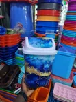 Indoor/Outdoor Plastic Dust Bins - 10 Litres - 2