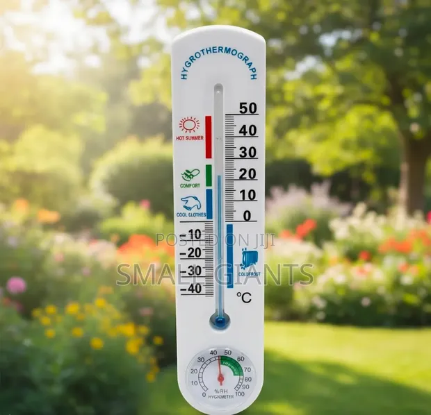 Digital Thermometer Hygrometer - Indoor/Outdoor - 1