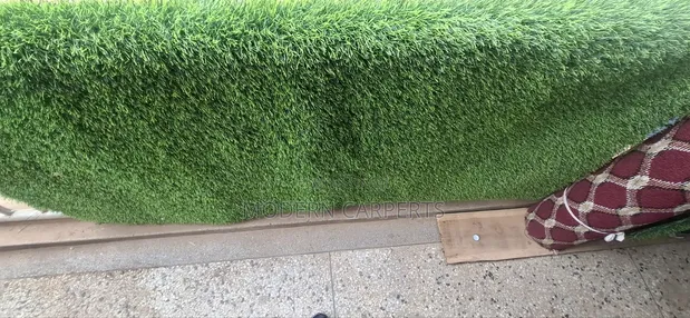 Ryan Artificial Turf - 1