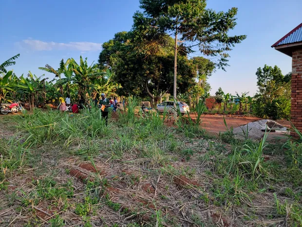 Maina Centre, Mayuge Cheap Plots - 1