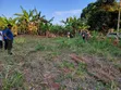 Maina Centre, Mayuge Cheap Plots - 2