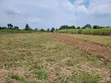 Maina Centre, Mayuge Cheap Plots - 3