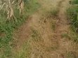60 Decimals Land for Sale at Bukalango Hill, Lugeye - 3