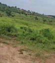 Titled Plot of Land in Matugga Kigogwa - 2