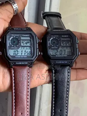 Casio AE-1200WH Digital World Map Watch