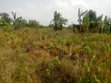 10 Acres Freehold Land for Sale in Luwero - 4