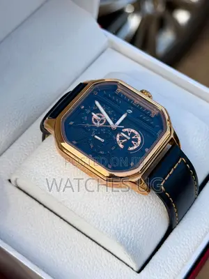 Orsga Premium Watch