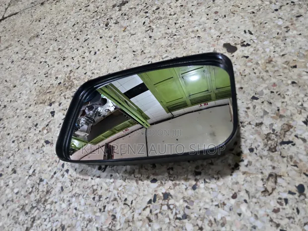 Dyna and Canter Baby Face Side Mirror - 1