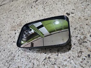 Dyna and Canter Baby Face Side Mirror