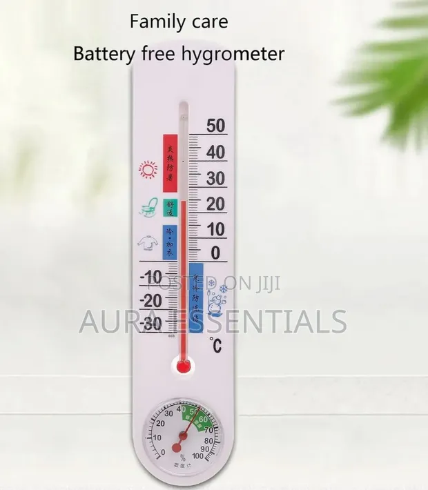 Digital Thermometer Hygrometer - Indoor/Outdoor - 1