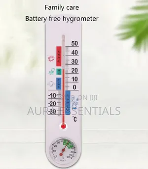 Digital Thermometer Hygrometer - Indoor/Outdoor