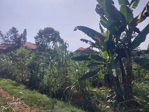 Land for Sale - Busega (2 Acres)