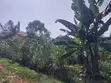 Land for Sale - Busega (2 Acres) - 1