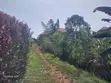 Land for Sale - Busega (2 Acres) - 2
