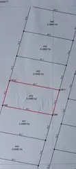 Two 50x100 Plots for Sale in Bulamu, Mityana Road - 3