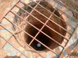 Shallow Well Digging & Construction - 3