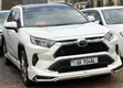 Toyota RAV4 XLE Premium 2021 White - 1