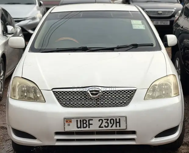 Toyota Allex 2007 White - 1