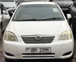 Toyota Allex 2007 White - 1