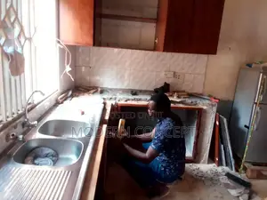 Kitchen Cabinet Renovation Services