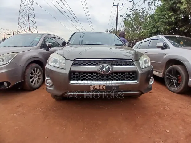 Toyota RAV4 2013 Gray - 1