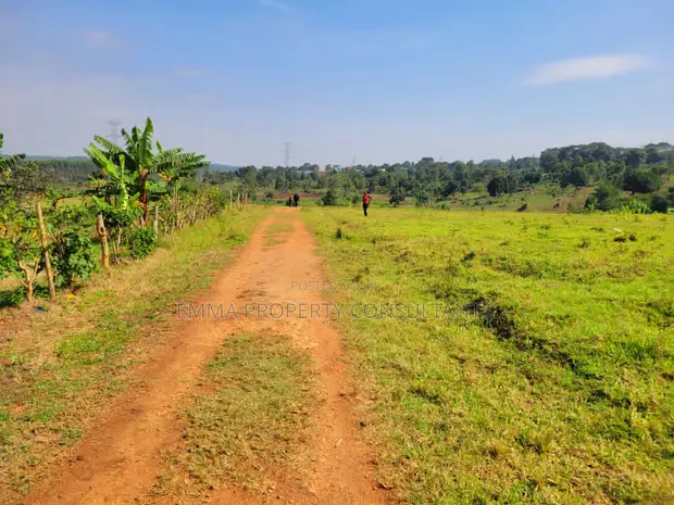 Gayaza-Busika Kalagala Estate Land - 100x50ft Plot with Title - 1