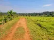 Gayaza-Busika Kalagala Estate Land - 100x50ft Plot with Title - 1