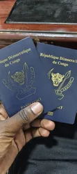 Passport and Visa Extension Renewal Assistance - 3