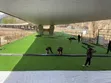 Landscape Floor Grass Carpet - 2