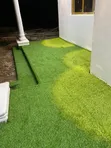 Tropical Green Grass Carpet - Brand New - 2