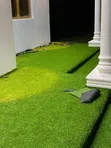 Tropical Green Grass Carpet - Brand New - 3