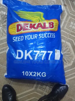 DK 777 Maize Seeds