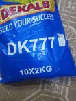 DK 777 Maize Seeds - 3