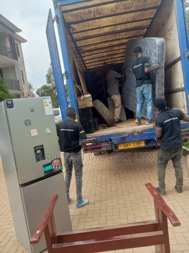 Halcyon Movers: Home & Office Relocation Services - 1