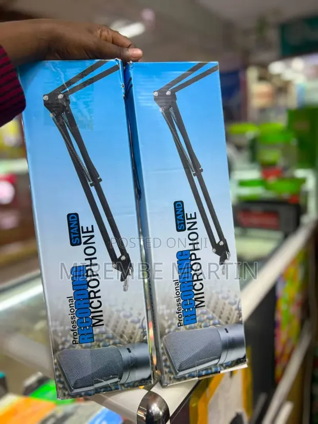 Foldable Microphone Arm - 1