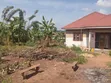4-Bedroom House for Sale in Namusera Mabombwe - 5
