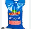 DKC 9089 Maize Seeds (20kg) - 4