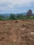 50x100ft Plots for Sale in Kyanuna, Namayumba - 2