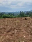 50x100ft Plots for Sale in Kyanuna, Namayumba - 3